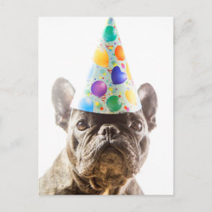 Carte Postale Bulldog français avec Casquette de parti