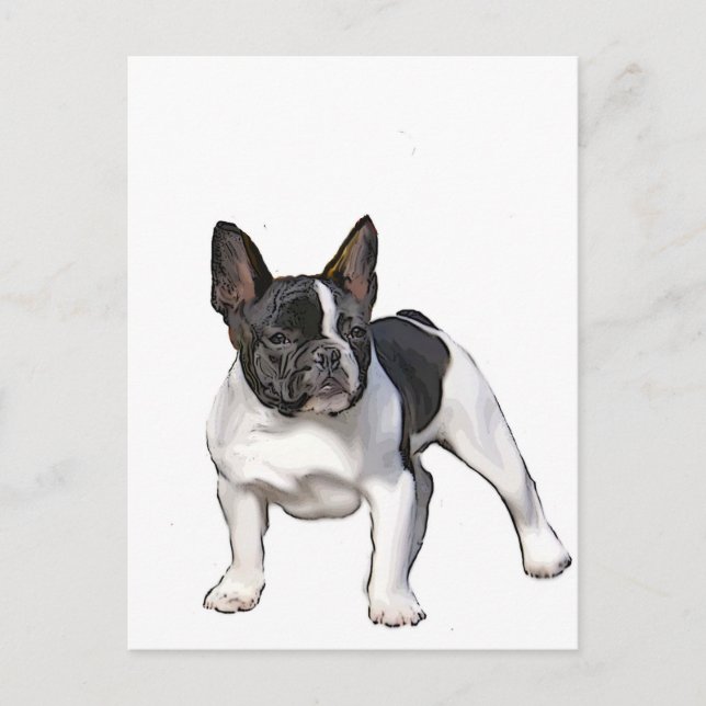 CARTE POSTALE BULLDOG FRANÇAIS NOIR ET BLANC (Devant)