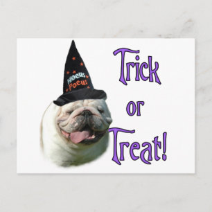 Carte Postale Bulldog Trick