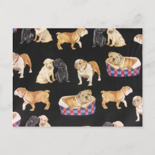 Carte Postale Bulldogs & Shar Peis