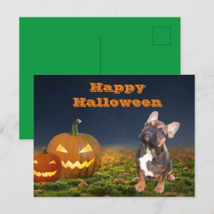 Carte postale bulldogue d'Halloween