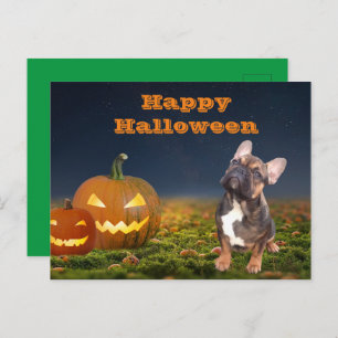 Carte postale bulldogue d'Halloween