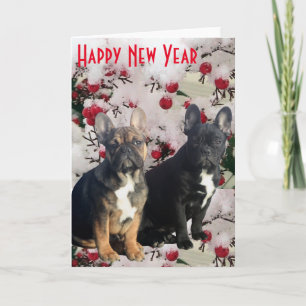 Carte postale bulldogue française Happy New Year