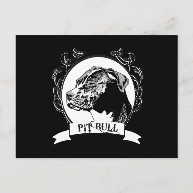 CARTE POSTALE BULLE DE PIT (Devant)