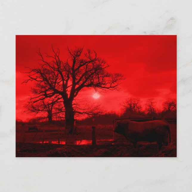 CARTE POSTALE BULLES (Devant)