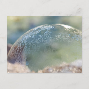 Carte Postale Bulles gelées