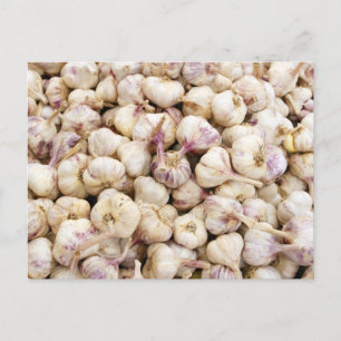 Carte Postale Bulles italiennes d'ail