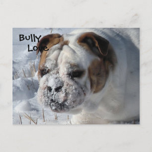 Carte Postale Bully de neige - Bulldog anglais
