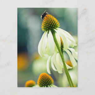 Carte Postale Bumble Bee