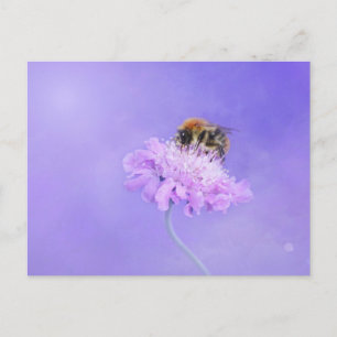 Carte Postale Bumble Bee perché sur une fleur violette