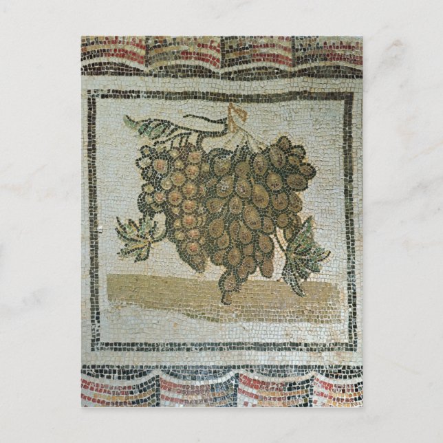 Carte Postale Bunch de raisins blancs, mosaïque romaine (Devant)