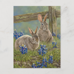 Carte Postale Bunnies & Bluebonnets