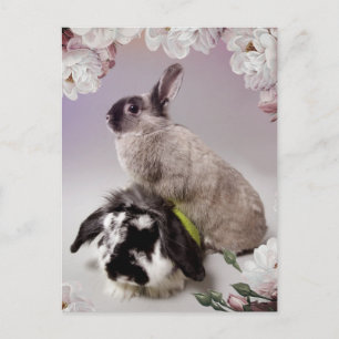 Carte Postale Bunny Love