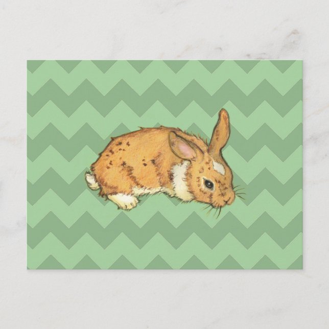 Carte Postale Bunny Sage Chevron Duo (Devant)