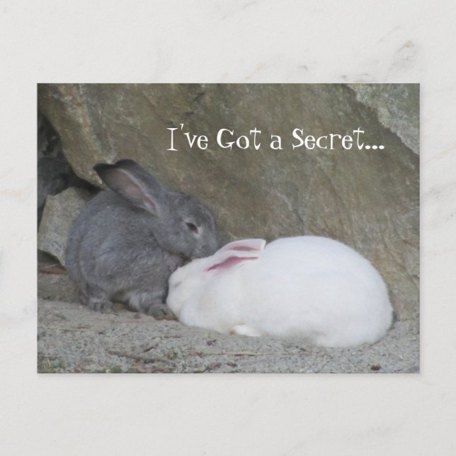 Carte Postale Bunny Whisperer (Devant)