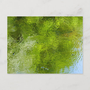 Carte Postale Burets d'eau dans le parc national de Laurel Hill