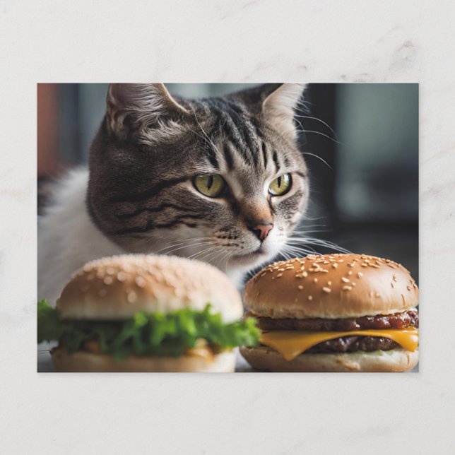 Carte Postale Burger Buddy - art chat (Devant)