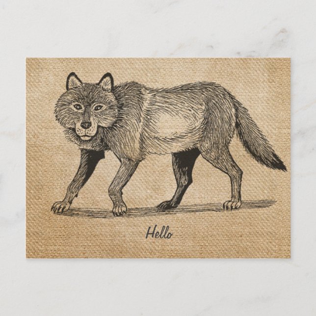 Carte postale Burlap Wolf Vintage (Devant)