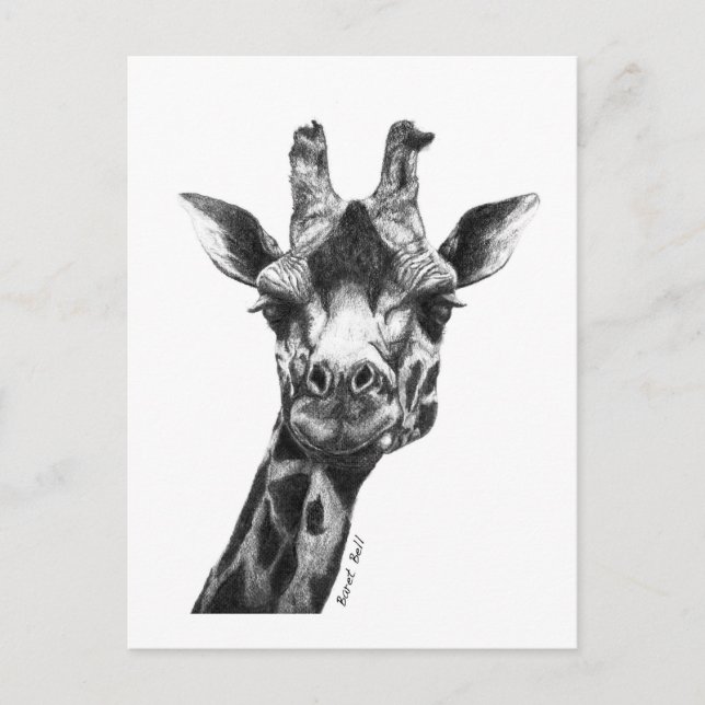 Carte Postale Burney la Giraffe (Devant)