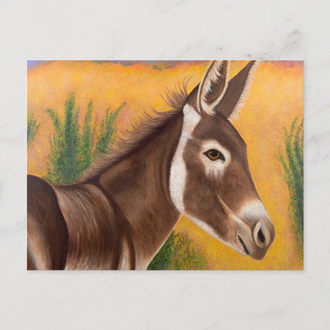 Carte Postale Burro du désert (Devant)