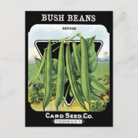Bush Haricots Pack de graines Jardin de légumes No