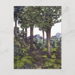 Carte Postale Bush néo-zélandais