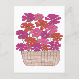Carte Postale Bushel of Bright Cosmos