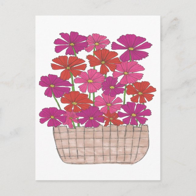 Carte Postale Bushel of Bright Cosmos (Devant)