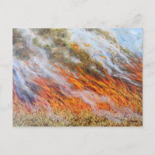 Carte Postale Bushfire Inferno 2014