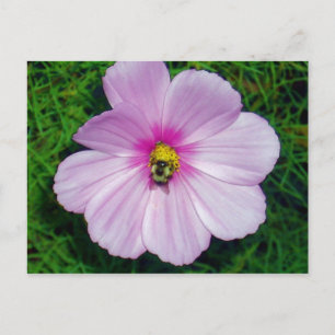 Carte postale Busy Bee