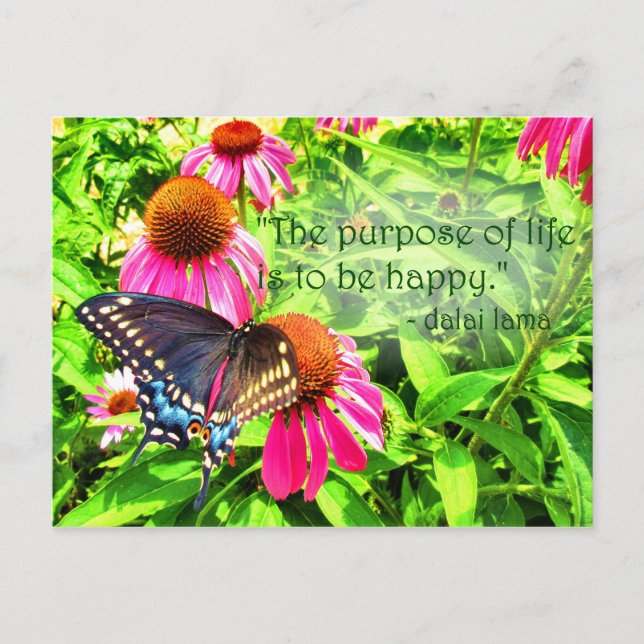 Carte Postale But de la vie Joyeux Black Swallowtail papillon (Devant)