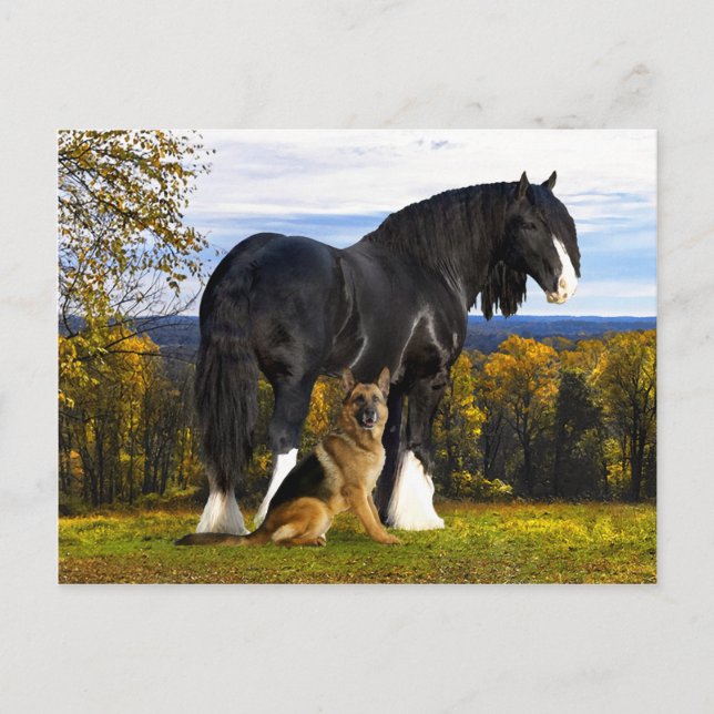 Carte postale "Butch and Blackbird" (Devant)