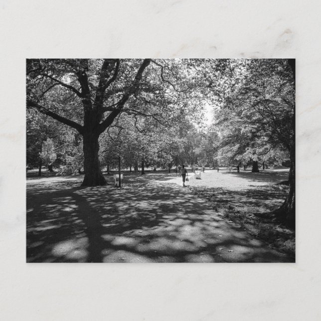 Carte Postale Bute Park en été après-midi. Cardiff Wales. (Devant)