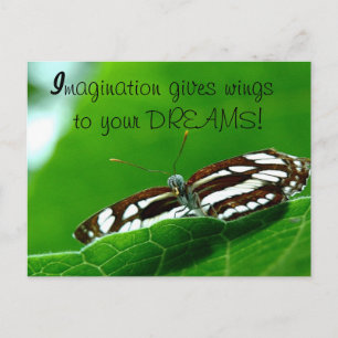 Carte postale Butterfly Dreams