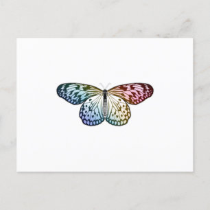 Carte Postale Butterfly Rainbow