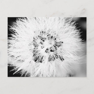 Carte Postale bw *