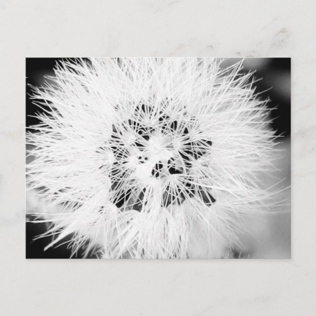 Carte Postale bw * (Devant)