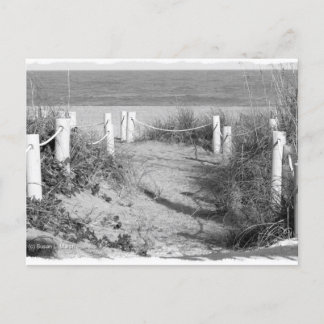 Carte Postale BW Fort Pierce, Floride dune de marche de plage ro