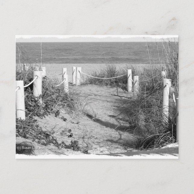 Carte Postale BW Fort Pierce, Floride dune de marche de plage ro (Devant)