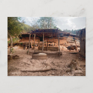 Carte Postale Cabane de village rural en bois avec animaux, Laos