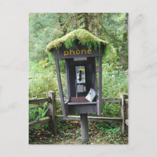 Carte Postale Cabine de téléphone couverte de la mousse