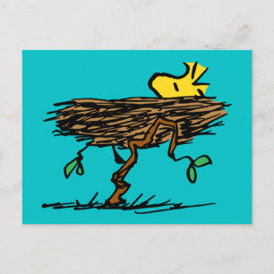 Carte Postale cacahuètes   Carénage de bois