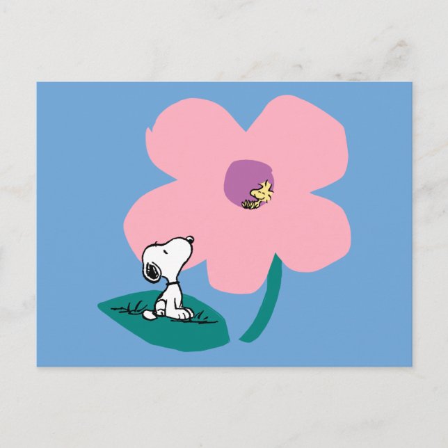 Carte Postale Cacahuètes | Fleur rose illustrant la nature (Devant)