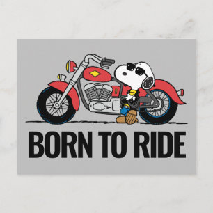 Carte Postale cacahuètes   Snoopy et sa moto