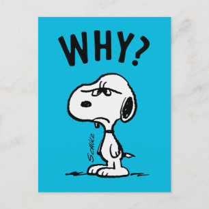 Carte Postale cacahuètes   Snoopy Se Demande Pourquoi ?