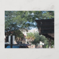 cacao, Floride