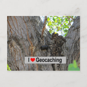 Carte Postale Cache du hangar d'arbre : Géocaching