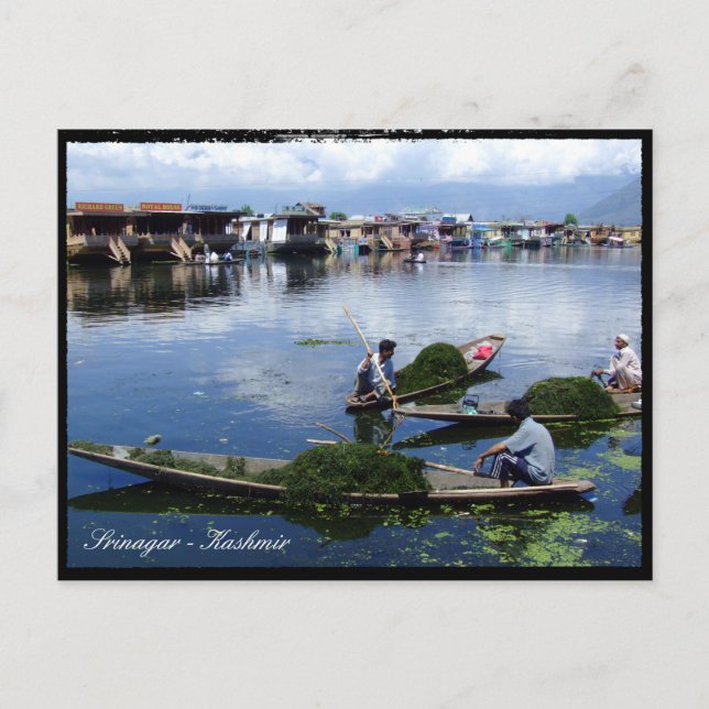 Carte Postale Cachemire, Srinagar - Lac Dal / Fête Inde (Devant)