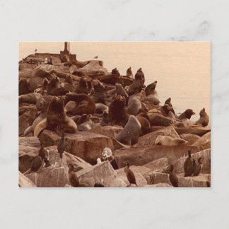 Carte Postale cacophanie de mer