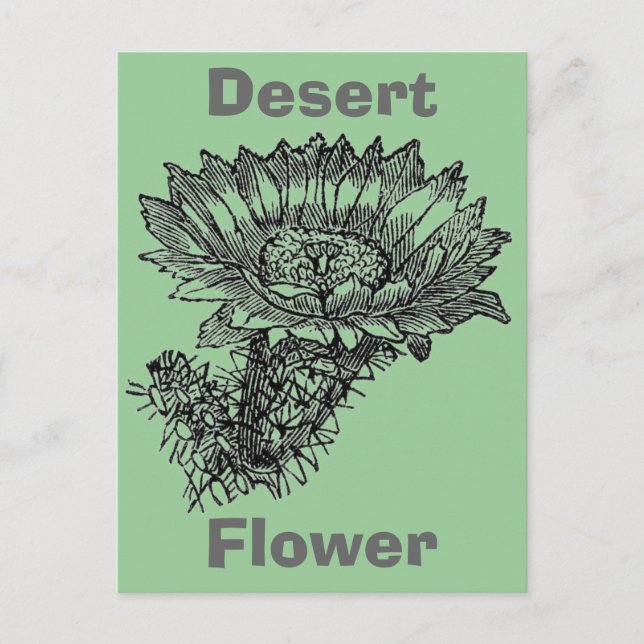 Carte postale Cactus (Devant)